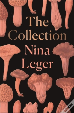 Capa do artigo The Collection