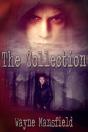 The Collection - Preview
