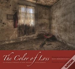 Capa do artigo The Color Of Loss