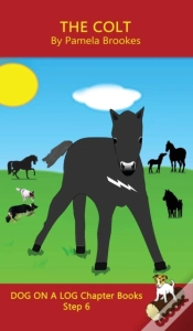 Capa do artigo The Colt Chapter Book
