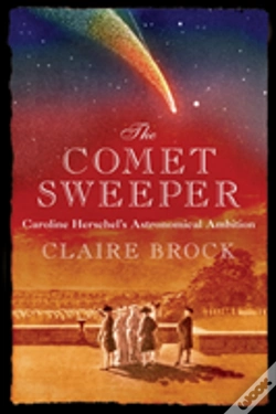 Capa do artigo The Comet Sweeper