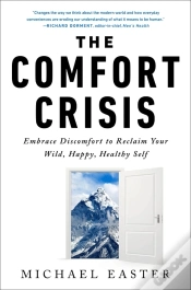 Capa do artigo The Comfort Crisis