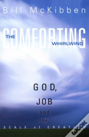 Capa do artigo The Comforting Whirlwind
