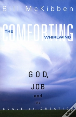 Capa do artigo The Comforting Whirlwind