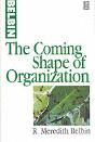 The Coming Shape Of Organization - Preview