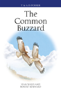 The Common Buzzard - Preview