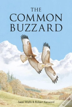 Capa do artigo The Common Buzzard