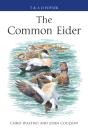 The Common Eider - Preview
