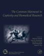 The Common Marmoset In Captivity And Biomedical Research - Preview
