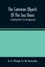 The Common Objects Of The Sea Shore - Preview