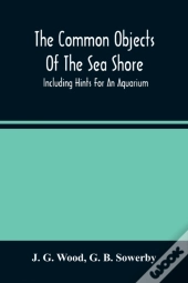 The Common Objects Of The Sea Shore