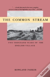 Capa do artigo The Common Stream