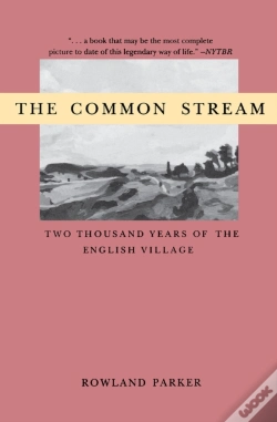 Capa do artigo The Common Stream
