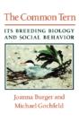 The Common Tern - Preview