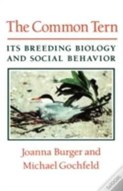 Capa do artigo The Common Tern