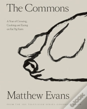 Capa do artigo The Commons