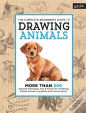 Capa do artigo The Complete Beginner