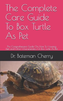 Capa do artigo The Complete Care Guide To Box Turtle As Pet