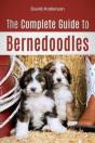 The Complete Guide To Bernedoodles - Preview