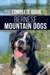 The Complete Guide To Bernese Mountain Dogs