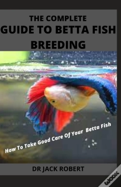 Capa do artigo The Complete Guide To Betta Fish Breeding