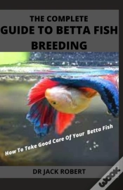 Capa do artigo The Complete Guide To Betta Fish Breeding