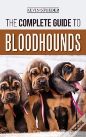 The Complete Guide To Bloodhounds