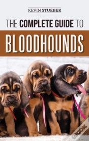 Capa do artigo The Complete Guide To Bloodhounds