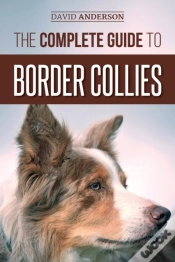 Capa do artigo The Complete Guide To Border Collies