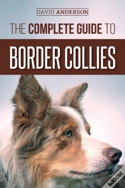 Capa do artigo The Complete Guide To Border Collies