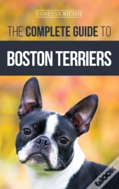 The Complete Guide To Boston Terriers