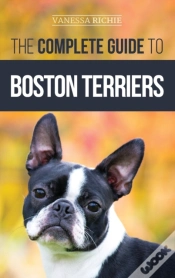 Capa do artigo The Complete Guide To Boston Terriers