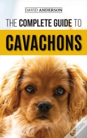 Capa do artigo The Complete Guide To Cavachons