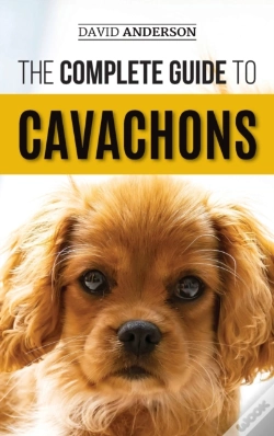 Capa do artigo The Complete Guide To Cavachons