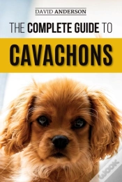 Capa do artigo The Complete Guide To Cavachons