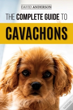 Capa do artigo The Complete Guide To Cavachons