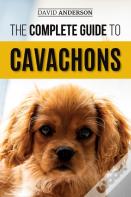The Complete Guide To Cavachons