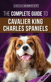 The Complete Guide To Cavalier King Charles Spaniels