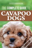The Complete Guide To Cavapoo Dogs