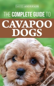 Capa do artigo The Complete Guide To Cavapoo Dogs