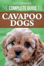 Capa do artigo The Complete Guide To Cavapoo Dogs