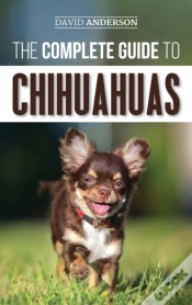Capa do artigo The Complete Guide To Chihuahuas