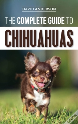 Capa do artigo The Complete Guide To Chihuahuas