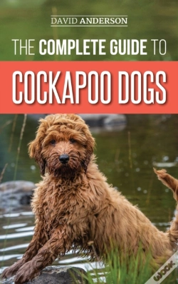 Capa do artigo The Complete Guide To Cockapoo Dogs