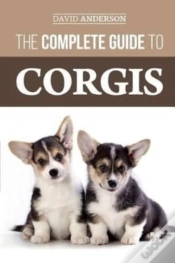 Capa do artigo The Complete Guide To Corgis