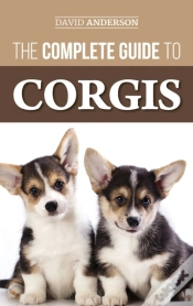 Capa do artigo The Complete Guide To Corgis