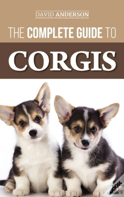 Capa do artigo The Complete Guide To Corgis