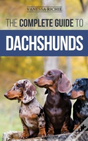 Capa do artigo The Complete Guide To Dachshunds
