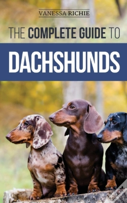 Capa do artigo The Complete Guide To Dachshunds