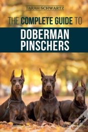 Capa do artigo The Complete Guide To Doberman Pinschers